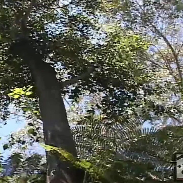 Pravi Muškarci 2 Blizu Muževne Gomile