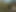 Alice_Bess video