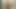 Pis ssbbw toilet pig jessica jones