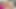 角質ふしだらな女が肛門と膣の甘やかし