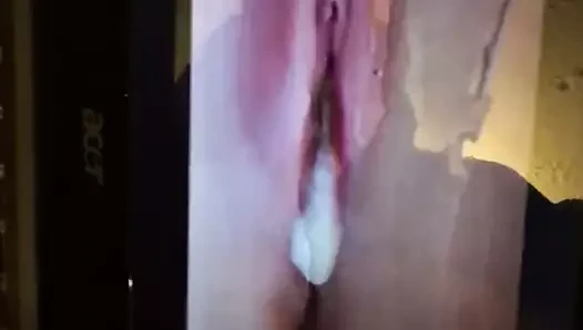 向机械致敬