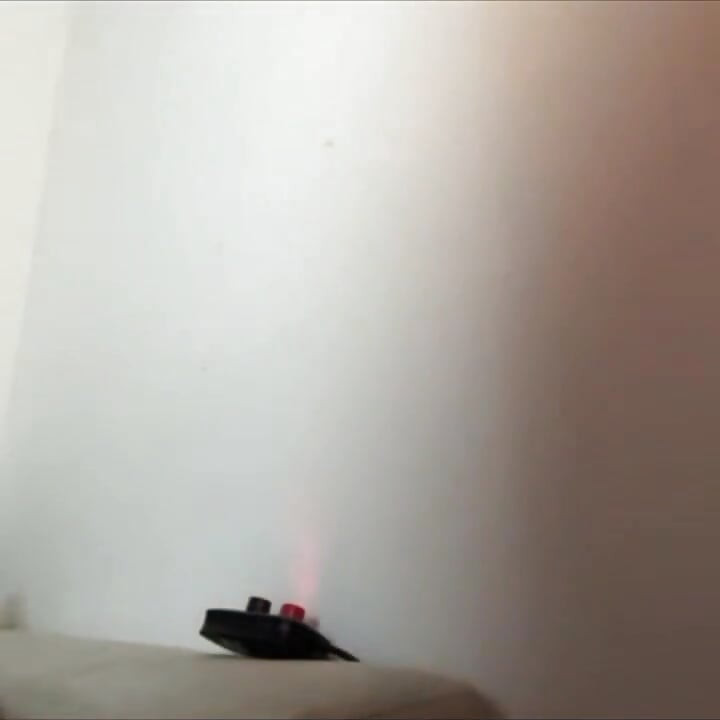 Big ass love ass women ass