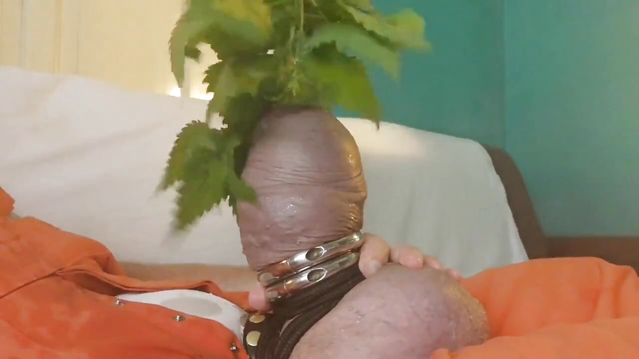 Nettles Are Much Hotter Then Electro Toys