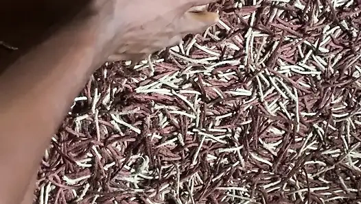 Hot ebony babe foot massage section