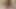 Young horny cock with hot pleasure drops in kinky nylons wants to cum
