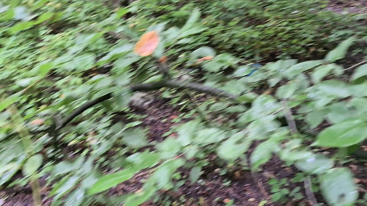 Outdoor cum