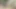 Şınavlar bu vahşi striptiz oyununda güçlerini test ediyor