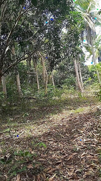 Filipino Twink's Secret Jungle Adventure - Fleshlab Exclusive