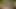 Arzuyla damlıyor! Sinfulxxx'te Gatita Veve ve Dimitri Shadow ile ırklararası karşılaşma