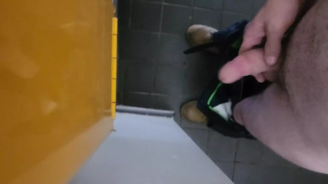 Public restroom wank soft to hard then cum.