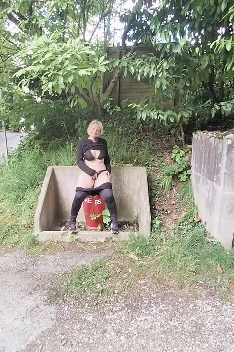 Du Würdest Nicht Kommen, Um Den Hydranten Zu Ersetzen