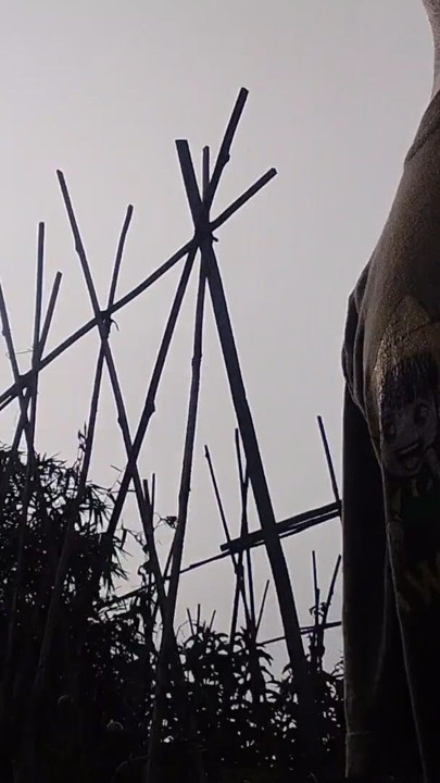 A young man's journey to the rice field where he is urinating again | Clip 1