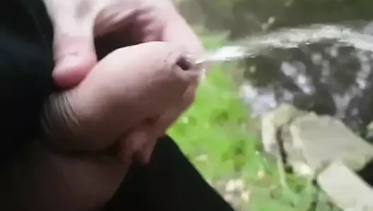 çiş çiş