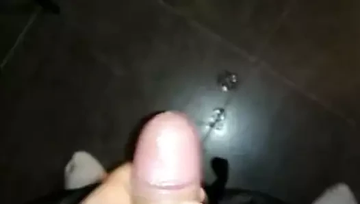 Bolca döl