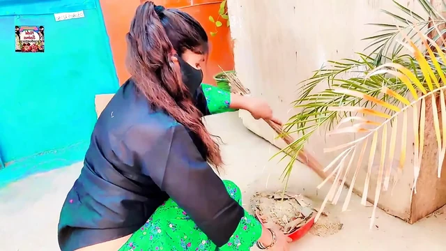 For Housewife Lovers