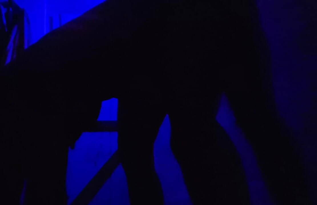 Sex XXX Video Desi Girls