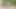 Hintli kız desi erkek arkadaşını çok iyi sikiyor