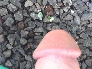 Shaved cock displayed outside for all that love my cock. thx