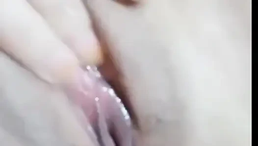 Muschi Becek Indonesien 2026