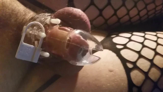 cum in chastity big plug in my ass
