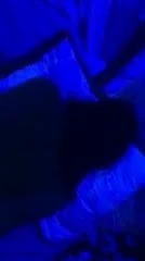 Blacklight cuffed doggy