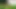 Naked Field