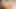 Anushka Shetty Cumtribute