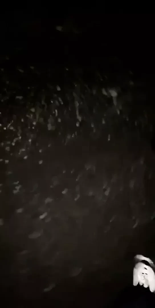 Boys show each other their penis outside