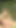 Captivating moment from "Lesbian Teens Sucking Off Their Clits And Poking Those Anal Holes In The Outdoors"