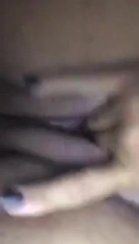 slut brazilian
