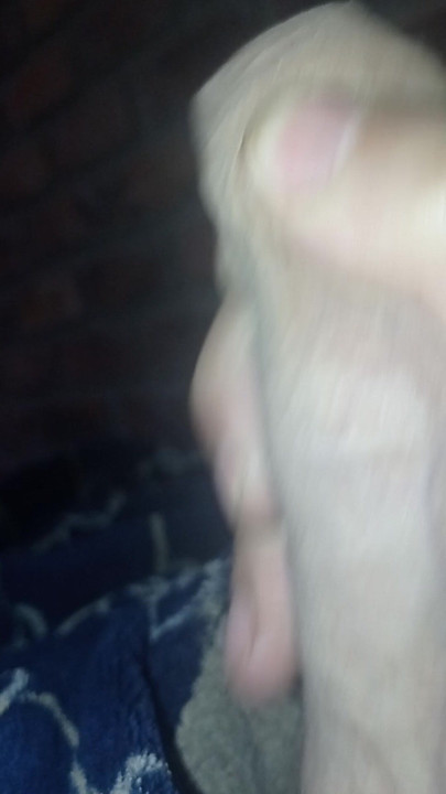 sex with lots of toys and lots of milk and anal