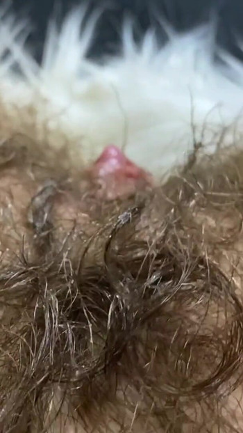 Momento poderoso de "Enorme clitóris erguido fodendo vagina no fundo do grande orgasmo"