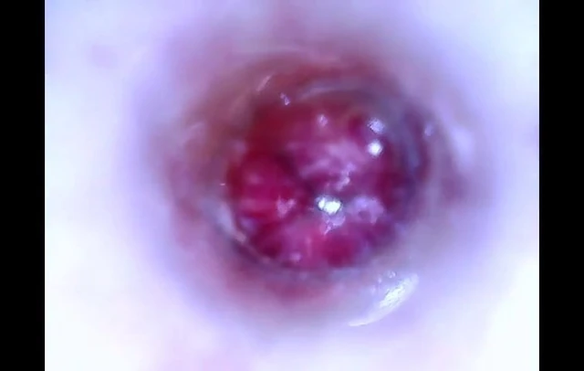 Journey from the Center of my Cock