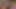 My Girlfriend Finally Wants Anal for the First Time. I Get so Horny and Fuck Like an Animal