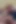 My Wife Is the Queen of Amateur Blowjobs