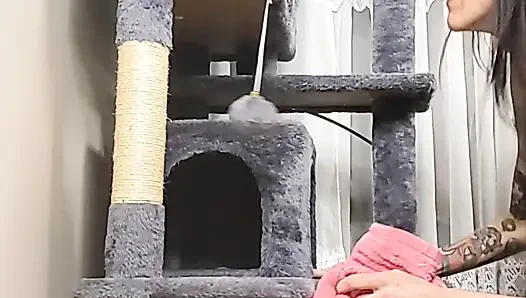 Stuck Shiloh : Cathouse Edition