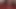 Worship My Cum! Close Up Cock