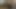 ヴェロニカ