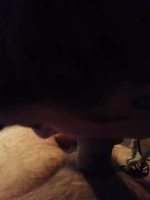girl sucking my cock