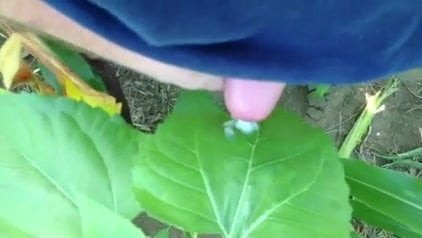 在他的领域中表现出色