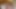 クイックはいつだって楽しいです