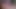 I will give you everything you need to cum JOI