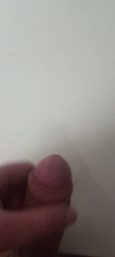Acorn