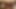 Lesbenorgie mit Keana Moire, Sarah Twain, Eufrat und Claudia Rossi