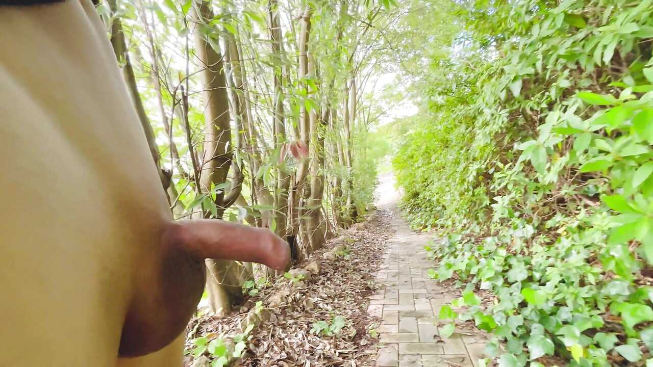 Asian twink riskily flashes his foreskin penis in a public park
