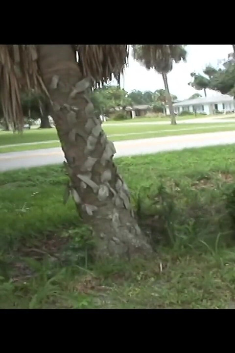 狂野有趣的和极其危险的公共裸体