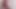 Dutch XXL 20 cm mega cumshot