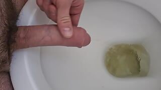Public toilet pissing and rubbing cock in toilet