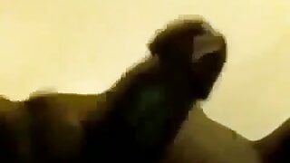Grande cazzo nero, sborrata in video modalità lenta pt.2