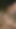 Im Wald Cum 3